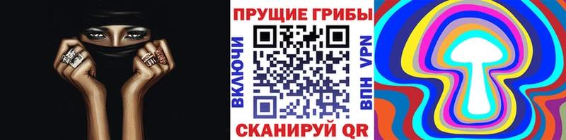 Галлюциногенные грибы Psilocybe  Орехово-Зуево 