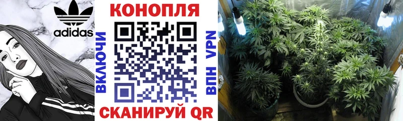 Каннабис индика  это телеграм  Орехово-Зуево  где найти   блэк спрут ссылка 